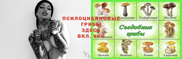 ALPHA PVP Алзамай
