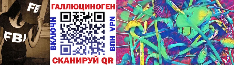 где можно купить наркотик  Михайловск  Галлюциногенные грибы Psilocybe 