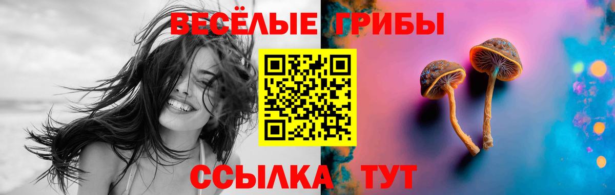 хочу   Псилоцибиновые грибы Psilocybine cubensis  Вход с VPN  Михайловск 